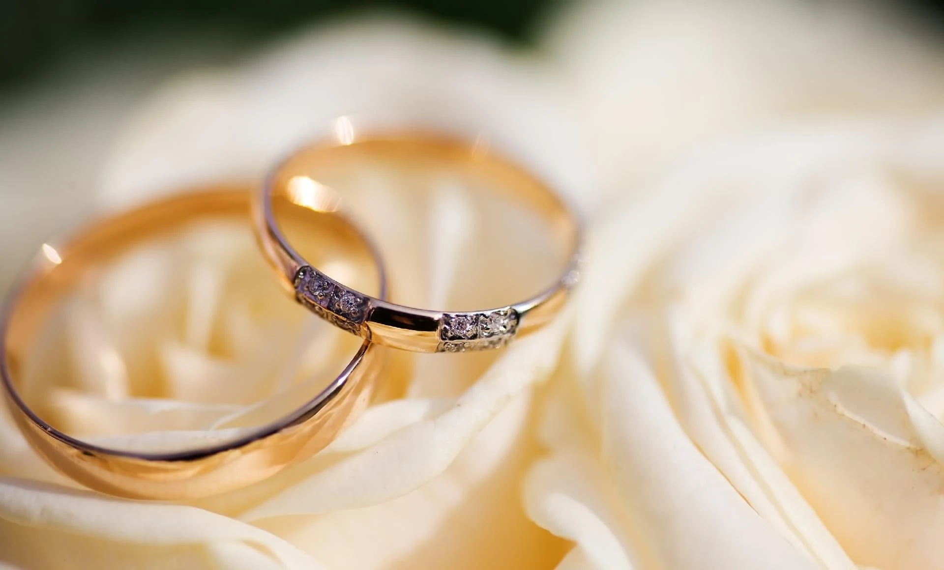 Anillos de matrimonio.
